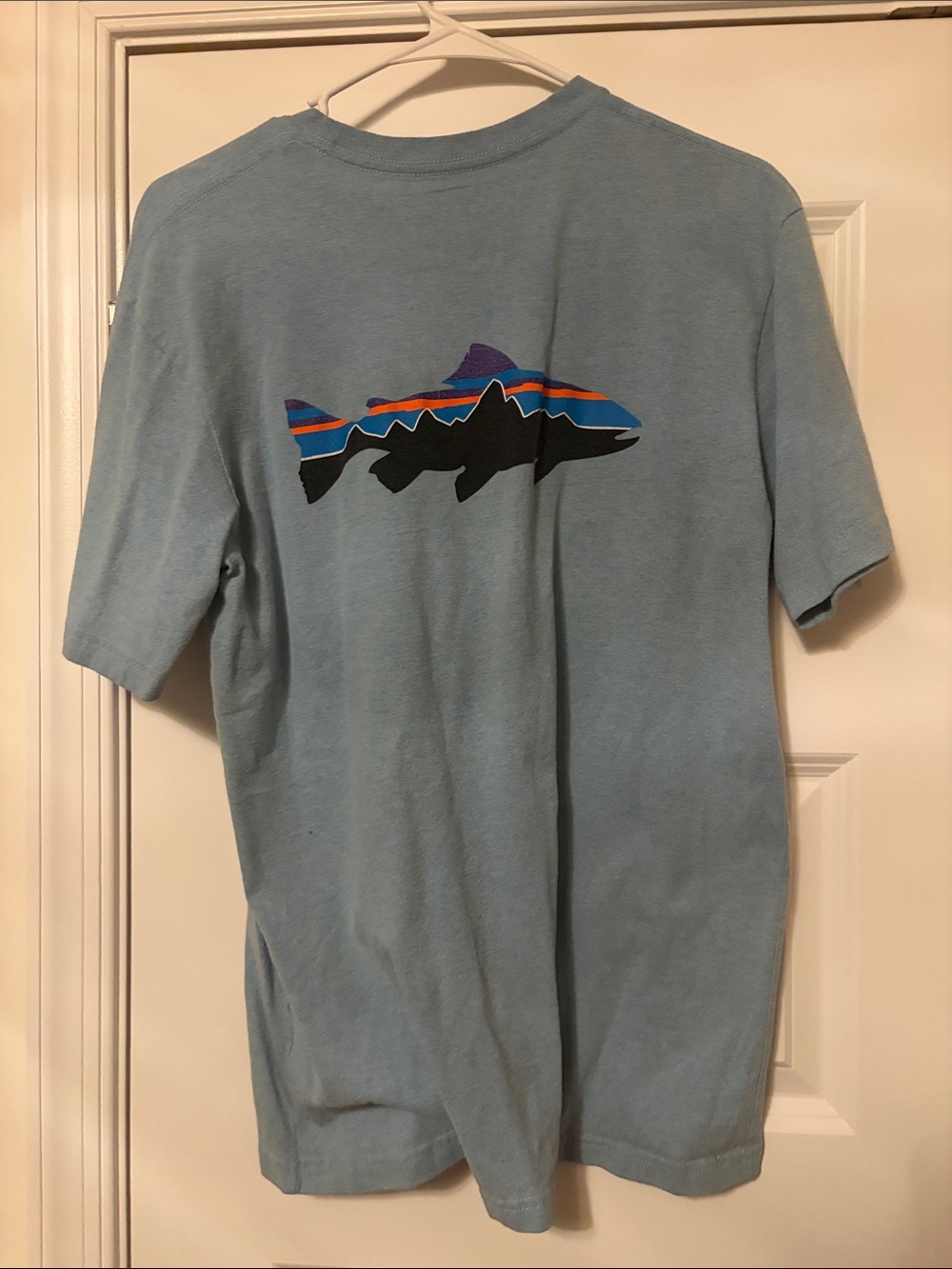 Patagonia Men's Light Blue Short-Sleeve Graphic Tee with Fish Motif